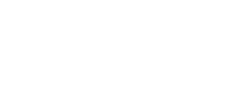 Violu Learning llc logo light